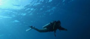 Symbolbild Tauchen Curaçao: Taucherin in Taucheranzug ist unter Wasser und erkundet die Unterwasserwelt