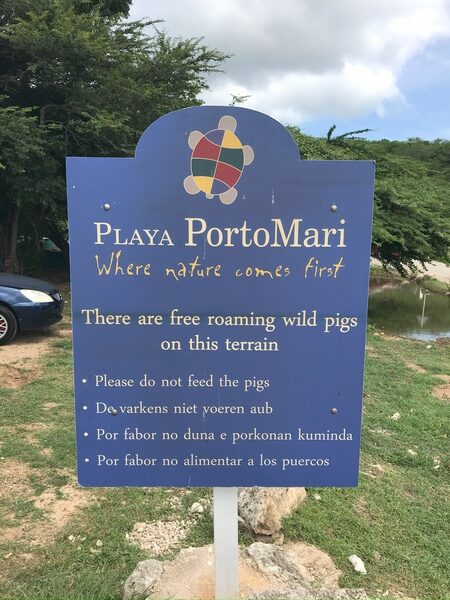 Information board at Playa Porto Mari in Curaçao