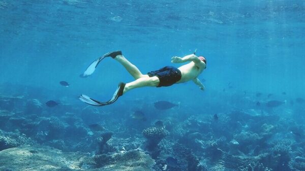 Symbolic image “Blue Room Curaçao”: A man snorkeling in the sea.