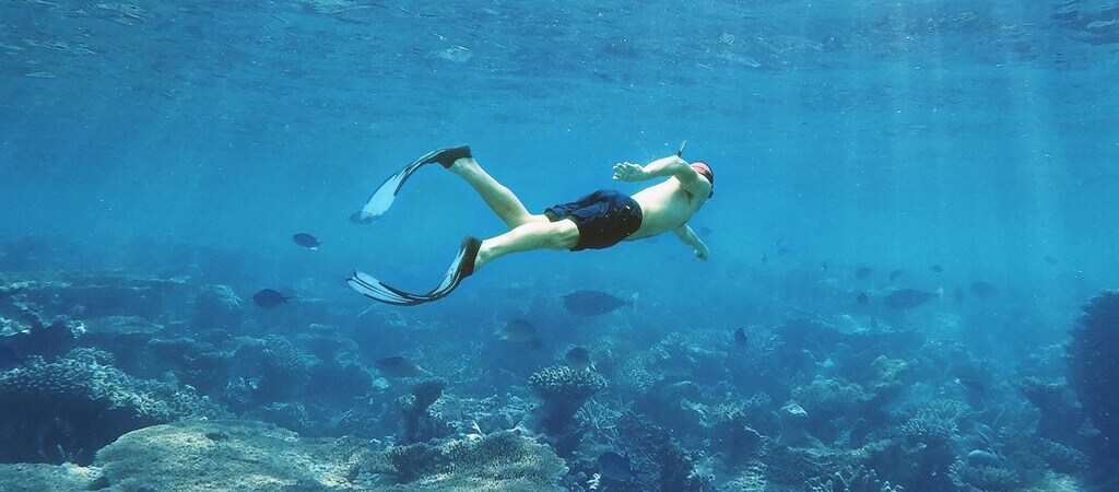 Symbolic image “Blue Room Curaçao”: A man snorkeling in the sea.