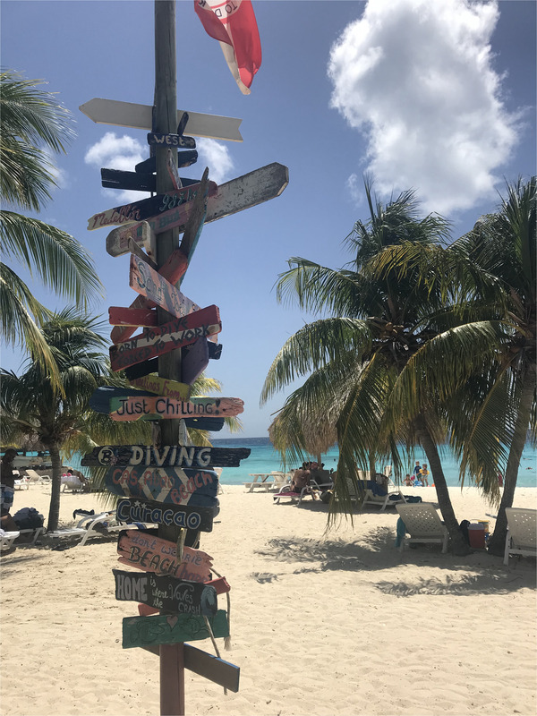 Schild aus Treibholz am Cas Abao Beach auf Curaçao.