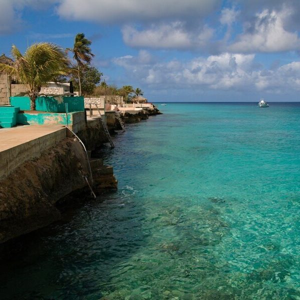 Küste von Bonaire, einer der ABC-Inseln. Links sind einige kleine Gebäude und zahlreiche Palmen zu sehen. Auf der rechten Seite des Bildes sieht man das türkisfarbene Wasser.