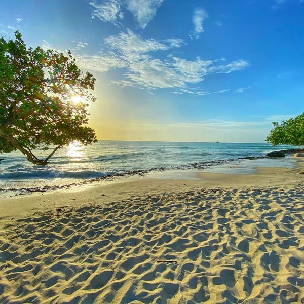 Sonnenuntergang am Eagle Beach Strip auf Aruba, einer der Niederländischen Karibikinseln.