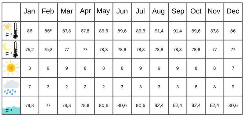 Table with information on the climate on the ABC islands for all twelve months. Both the maximum and minimum temperatures are indicated. You will also find information on the number of hours of sunshine and rainy days. It also shows the average water temperature.